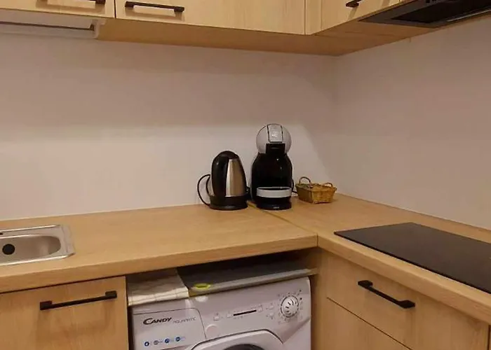 Dom Przy świerku Apartament *